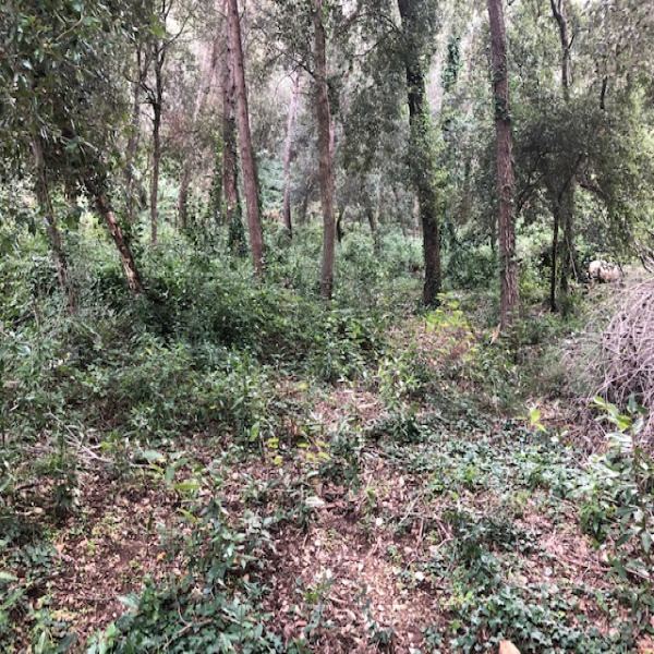 Offres de vente Terrain Vallauris 06220