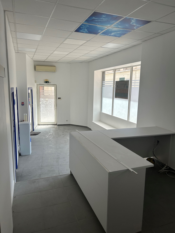 Location Immobilier Professionnel Local commercial Vallauris 06220